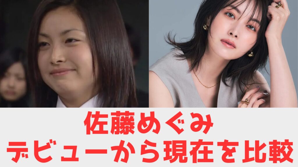 佐藤めぐみ　画像　比較