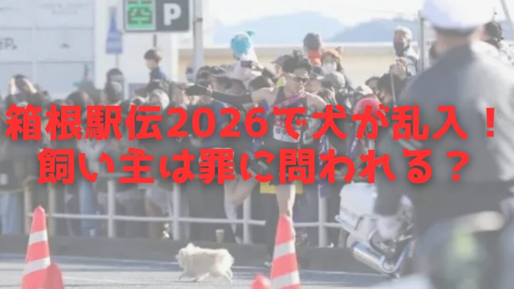 箱根駅伝２０２６