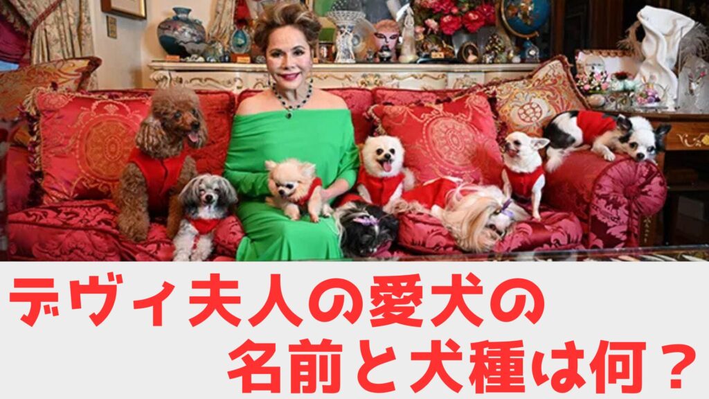 デヴィ夫人 犬