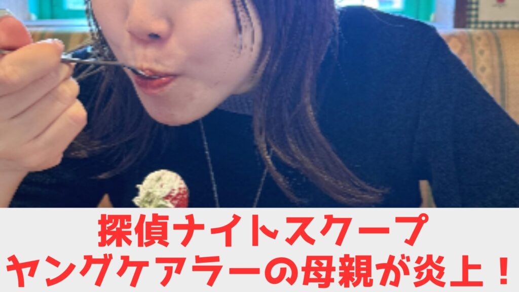 ナイトスクープ 母親 炎上